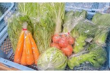 その時期の一番美味しいをお届け！ 竹田育ちの 「野菜詰め合わせセット」 A