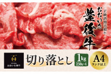 正統派黒毛和牛 おおいた豊後牛 切り落とし 1000g 小分け