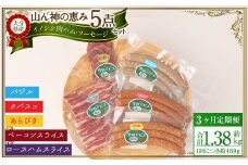 【3ヶ月定期便】 【竹田ジビエ】 山ん神の恵み イノシシ肉ハム・ソーセージ 5点セット 食べやすい ジビエ