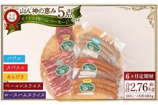 【6ヶ月定期便】 【竹田ジビエ】 山ん神の恵み イノシシ肉ハム・ソーセージ 5点セット 食べやすい ジビエ