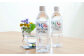 硬水ミネラルウォーター マグナ300 500ml（24本セット） ＆  マグナ1800 500ml（24本セット）飲み比べセット