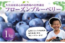 【2025年8月上旬より発送開始】久住高原童心回帰農場の自然栽培フローズンブルーベリー1kg 冷凍 ブルーベリー