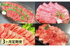【3ヶ月定期便】 【焼肉・しゃぶしゃぶ食べ比べ】 おおいた和牛（赤身焼肉・赤身スライス・肩ロース焼肉・肩ローススライス） 各約800g 計約3.2kg
