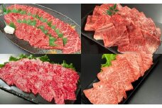 【焼肉食べ比べ】 おおいた和牛（赤身・肩ロース・上カルビ・ミスジ） 各約400g 計約1.6kg