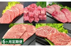 【6ヶ月定期便】 【ステーキ5種食べ比べ】 おおいた和牛（赤身・サイコロ・ミスジ・サーロイン・ヒレ） 各約400g 計約2kg