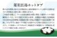 【6ヵ月定期便】 【薬用 入浴剤】 長湯ホットタブ Classic 45錠入（1袋）×6回 計270錠