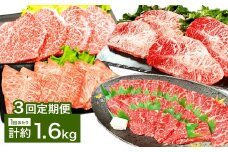 【3カ月定期便】 【焼肉？ ステーキ？ 赤身とミスジを味わう！】 おおいた和牛 赤身焼肉 ・ ミスジ焼肉 ・ 赤身ステーキ ・ ミスジステーキ 約1.6kg×3回 計約4.8kg