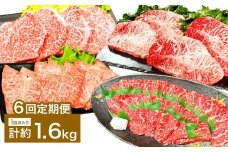 【6カ月定期便】 【焼肉？ ステーキ？ 赤身とミスジを味わう！】 おおいた和牛 赤身焼肉 ・ ミスジ焼肉 ・ 赤身ステーキ ・ ミスジステーキ 約1.6kg×6回 計約9.6kg