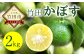 さわやかな果汁たっぷり 竹田かぼす♪ 2kg