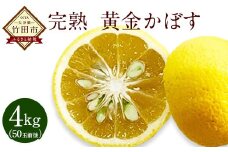 【2025年11月上旬より順次発送】【数量限定】 ●果汁たっぷり 完熟 黄金かぼす●  4kg 50玉前後