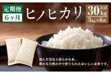 【6ヶ月定期便】 大分県産 ヒノヒカリ 5kg 計30kg 【2025年11月上旬発送開始】
