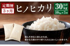 【3ヶ月定期便】 大分県産 ヒノヒカリ 10kg 計30kg 【2025年11月上旬発送開始】