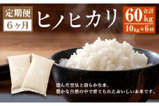 【6ヶ月定期便】 大分県産 ヒノヒカリ 10kg 計60kg 【2025年11月上旬発送開始】
