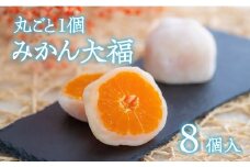 （8個入）みかん大福【先行予約】