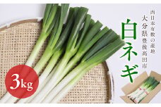 【先行予約】 産地直送・新鮮！ 白ネギ 3kg 西日本有数の産地で育った白ねぎ 長ネギ ネギ ねぎ 野菜 鍋 長ねぎ 葱