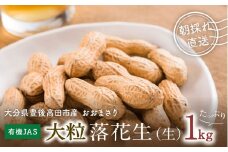 【先行予約】有機栽培で育てた大粒落花生1kg（おおまさり）