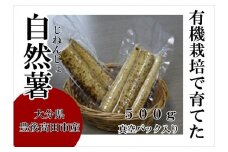 【先行予約】有機栽培で育てた自然薯 500g （真空パック）
