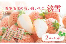【先行予約】白いちご淡雪・2パック入×1箱