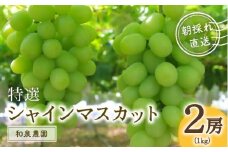 特選シャインマスカット2房入（約1kg）