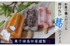 溶けないアイスキャンデー（おまかせ8本入）