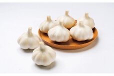 【先行予約】国産にんにく
