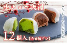 生チョコ大福、抹茶生チョコ大福詰合せ（12個入）
