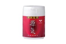 冬虫夏草 源氣
