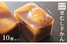 【先行予約】 栗むし羊かん（10個入）