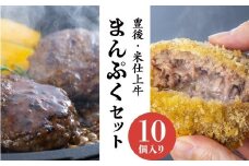 豊後・米仕上牛ハンバーグ、メンチカツセット（計10個）【大分県産ブランド牛】