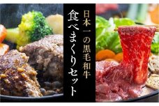 豊後牛ハンバーグ（約100g×9個）＆大分県産黒毛和牛おまかせすき焼き肉（500g）セット