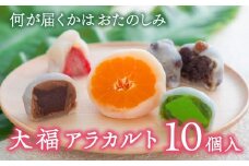 大福アラカルト（10個入）