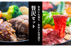 おおいた和牛モモ・ロースすき焼き肉（500g）＆豊後牛ハンバーグ（9個）贅沢セット