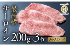 おおいた和牛サーロインステーキ（200g×3枚）