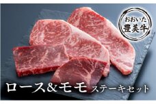 おおいた豊美牛ステーキセット（計560g）