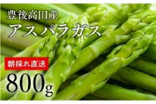 グリーンアスパラガス（800g）【R7.2月下旬～3月配送】