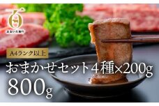 片桐さんのおまかせ焼肉セット（カルビ、おまかせ部位3種 各200g）計800gおおいた和牛