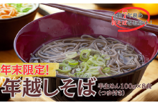 【12/17～28配送】R7秋新そば 豊後高田なまそば（100g×8食・つゆ付） 蕎麦 年内配送