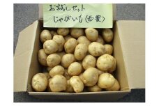 有機JASじゃがいも（10kg/S～Lサイズ） 先行予約