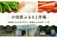 小田原ふるさと市場の様子（外観）