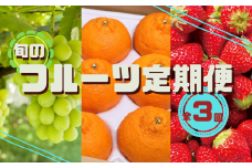 【3回定期便】旬のフルーツ食べ比べ（シャインマスカット・イチゴ・不知火） 