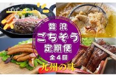 贅沢ごちそう定期便 計4回（ハンバーグ、からあげ、ウインナー、うなぎ蒲焼）