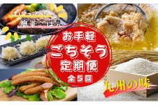 お手軽ごちそう定期便 計5回 ハンバーグ 海鮮シュウマイ 大分からあげ ウインナー 無洗米