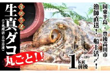 船上活締め！！生真ダコ丸ごと（1～4匹）【下処理済】