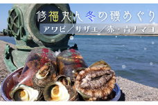 修福丸ん冬の磯めぐりセット