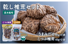 乾し椎茸セット360g【大分県新ブランドうまみだけ240、こつぶ椎茸】