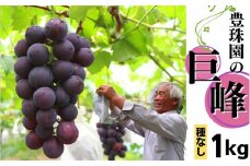豊珠園の巨峰（種なし）1kg