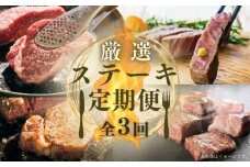 厳選ステーキ定期便 全3回 ヒレ サーロイン 肩ロース サイコロ ステーキ おおいた和牛 黒毛和牛
