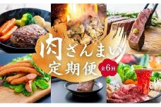 肉 ざんまい 定期便 全6回 6か月 牛肉 焼肉 ステーキ スライス 鶏肉 ウインナー ハンバーグ