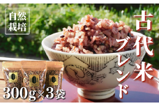 【先行予約R7年産】自然栽培 古代米 ブレンド 300g×3袋 【赤米・黒米・みどりもち】