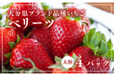 【先行予約】大分県ブランドいちごベリーツ大粒（280g×4パック）